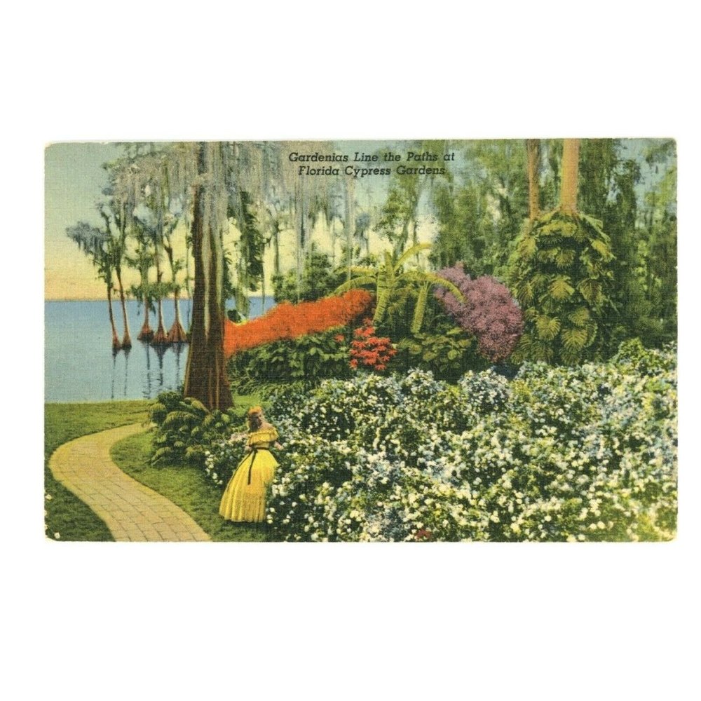Vintage Postcard Florida Cypress Gardens‎ Gardenias Plants Travel USA Tropical